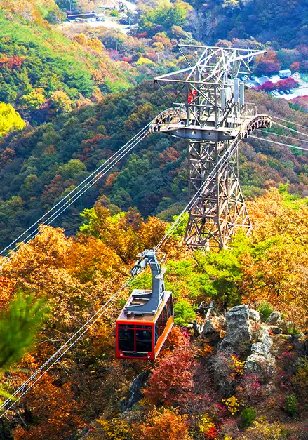 이미지명