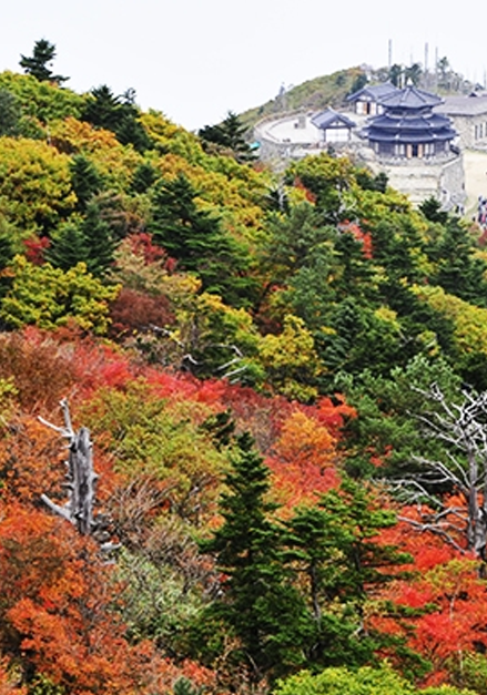이미지명